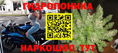 МДМА Новозыбков
