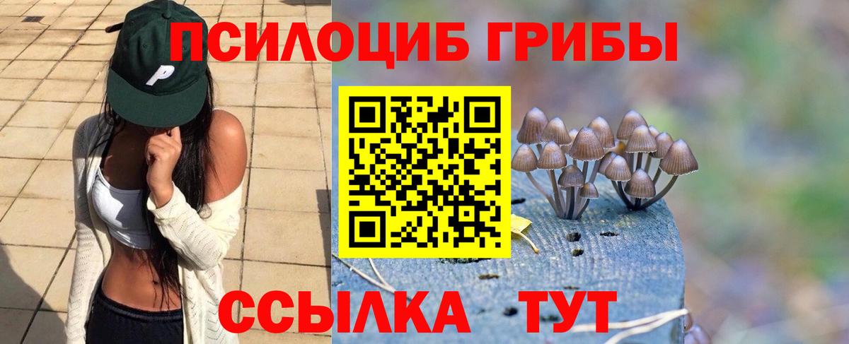 Псилоцибиновые грибы Magic Shrooms  Вход с VPN  Сызрань 